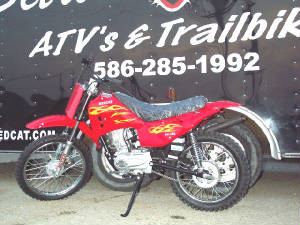 dz100b.jpg