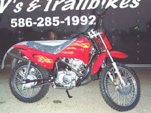 dz100d.jpg