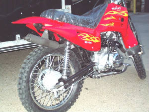 dz100e.jpg